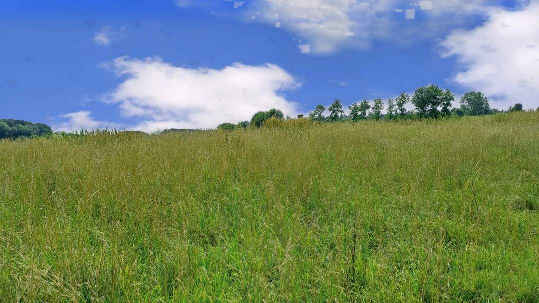 Baugrundstück inkl. Aufschlusskosten - mit Blick ins Grüne