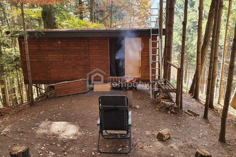 Baugrundstück mit bestehendem Keller in idyllischer Lage in Pinggau, Grund und Boden-kauf, 55.000,€, 8243 Hartberg-Fürstenfeld