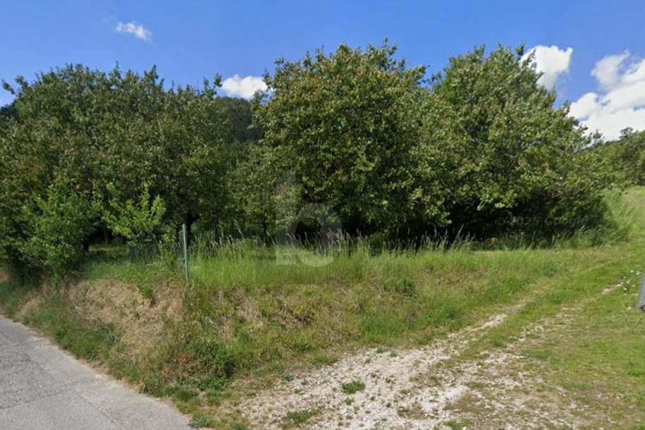 GROßZÜGIGES GRUNDSTÜCK IN TRAUMLAGE, Grund und Boden-kauf, 550.000,€, 3134 Sankt Pölten(Land)