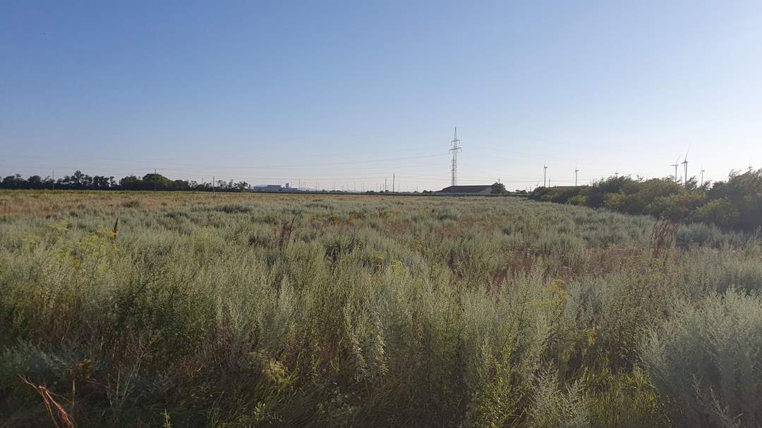 Landwirtschaftliche Fläche mit Zukunftspotenzial