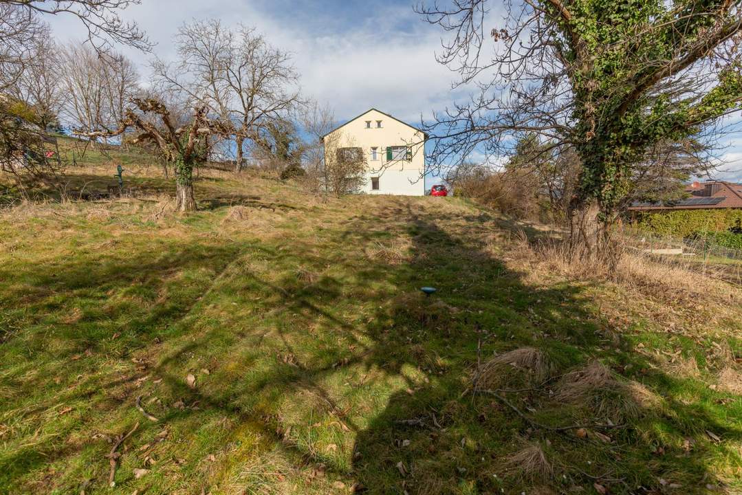 Exklusives Grundstück mit Altbestand und Schöcklblick – Ruhe pur!