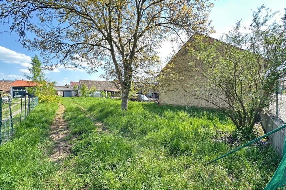 "Sonniger Baugrund mit Ackerbonus", Grund und Boden-kauf, 170.000,€, 3710 Hollabrunn