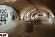Luxuriöses Penthouse mit historischem Charme und Blick über die Weingärten