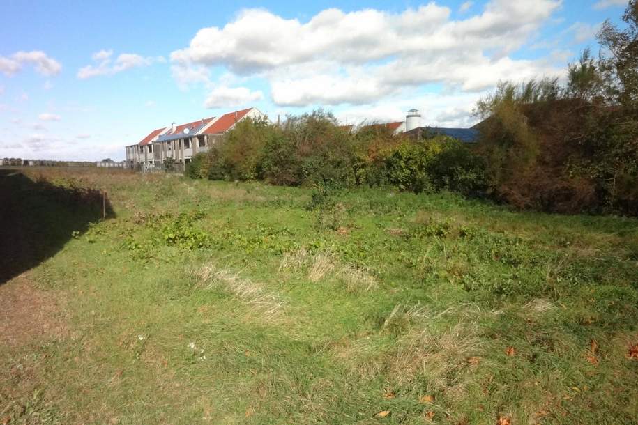 Aufgeschlossenes Grundstück in bester Lage am Ortsrand von Gols!, Grund und Boden-kauf, 590.000,€, 7122 Neusiedl am See