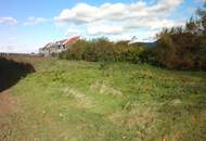 Aufgeschlossenes Grundstück in bester Lage am Ortsrand von Gols!