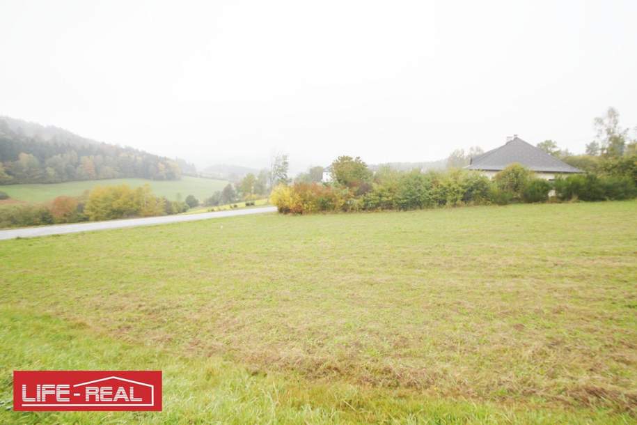 Schafzucht, Pferdezucht, schöne, große landwirtschaftliche Nutzfläche, in ruhiger Lage, Grund und Boden-kauf, 47.474,€, 4150 Rohrbach