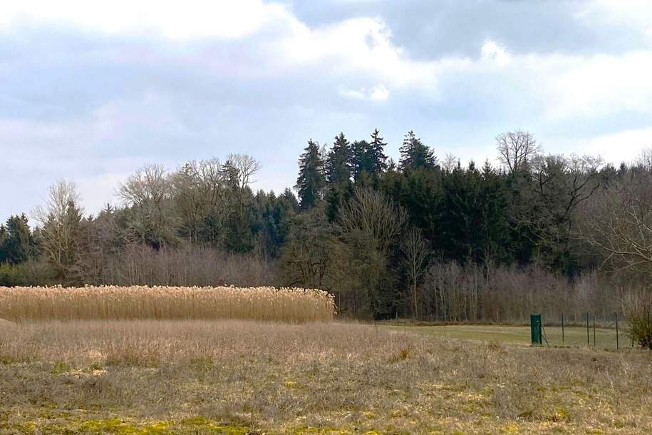 Großer Baugrund in schöner Lage Nähe Ortsbereich, Grund und Boden-kauf, 92.775,€, 4753 Ried im Innkreis