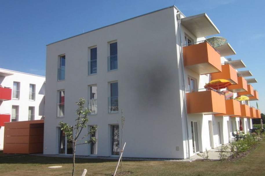 Wieselburg, Betreubares Wohnen, 1,5 Zimmer, 50 m² / 00221 00091, Wohnung-miete, 558,00,€, 3250 Scheibbs