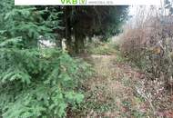 Landschaftliches Baugrundstück in Spattendorf – Gemeinde Alberndorf in der Riedmark