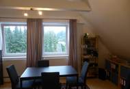 " Wohnen mit Turmzimmer in historischer Villa in Pressbaum "