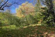 BAUGRUND IN ZENTRALER LAGE - KEINE WOHNEINHEITENBESCHRÄNKUNG