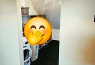 126 m² Familienwohnung in Leitring auf VB - Sanierung 2027 bereits voll bezahlt! (Provisionsfrei)