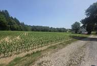 Bauernhaus (stark sanierungsbedürftig) mit viel Grund und kleinem Teich