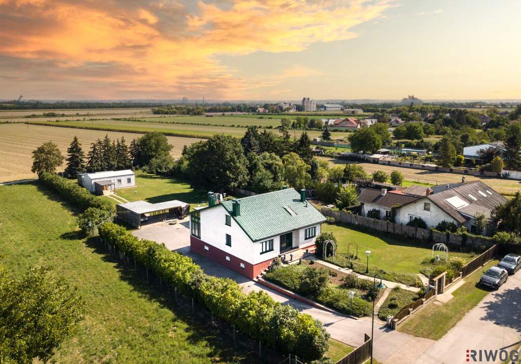 Für Naturliebhaber II ca 3.900m² Grundstück mit Einfamilienhaus und Halle II Nähe Zistersdorf, Mistelbach und A5 Richtung Wien