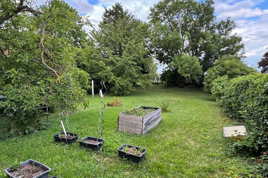 "Start frei fürs Eigenheim", Grund und Boden-kauf, 200.000,€, 2325 Bruck an der Leitha