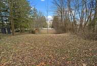 Wo die Seele ihr Zuhause findet: Ein Kunstwerk zwischen Wald und Wien