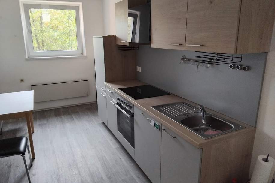 15536 - Ruhelage im Zentrum!, Wohnung-miete, 640,00,€, 3860 Gmünd