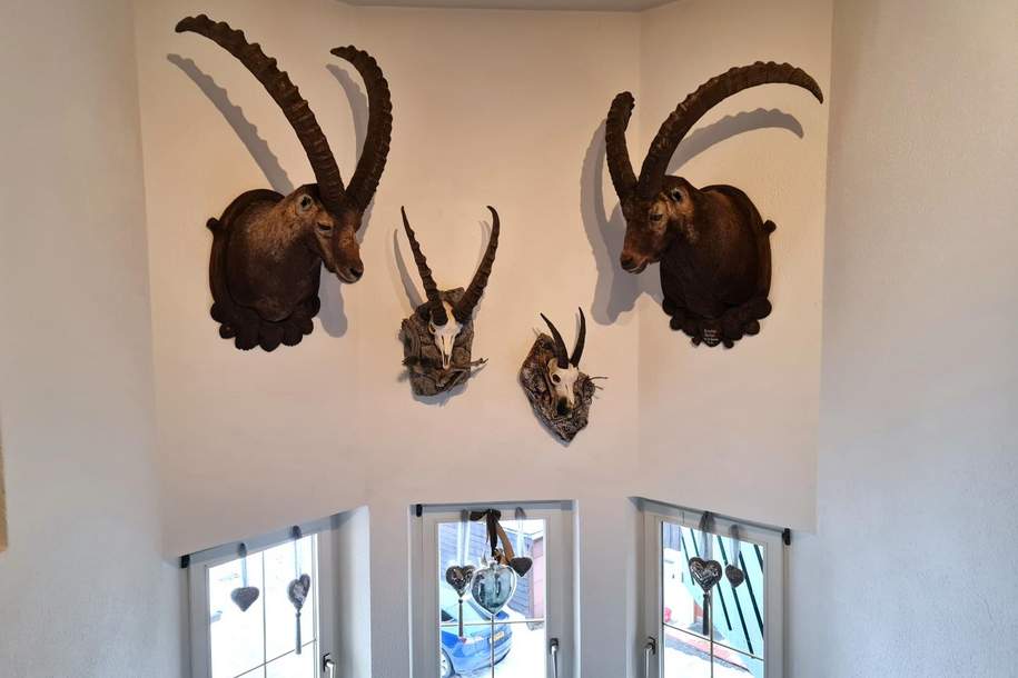 Wohlfühlen auf Tirolerisch: Apartmenthaus in der Touristenhochburg St. Anton am Arlberg!, Haus-kauf, 6580 Landeck