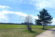 Vollunterkellertes Einfamilienhaus - Viel Potenzial - Mach was draus!