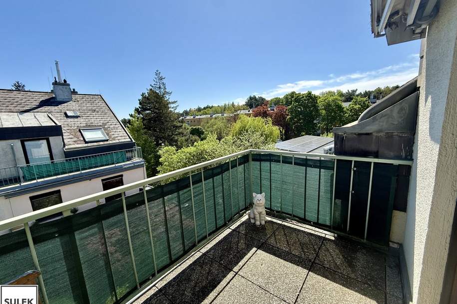 Perfekt geschnittene DG-Singlewohnung mit Terrasse und Garage in Wien Mauer, Wohnung-miete, 890,00,€, 1230 Wien 23., Liesing