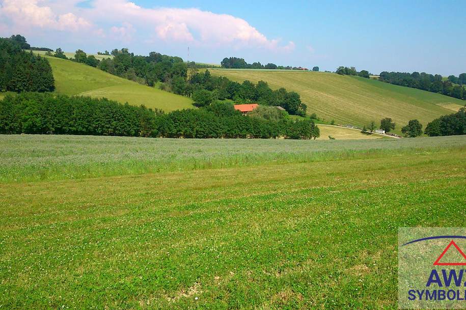 sehr schönes Grundstück in Dietersdorf bei Fürstenfeld, Grund und Boden-kauf, 50,€, 8282 Hartberg-Fürstenfeld