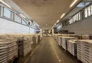 Gewerbepark Traiskirchen! ca. 4500 m² Halle mit 2 Rampen auf einer Ebene!