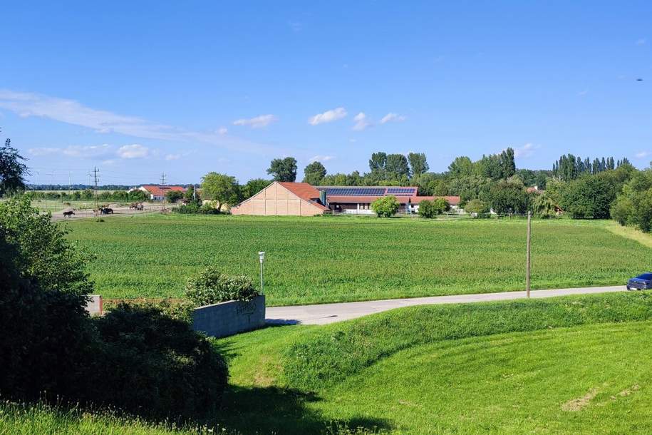 Modern, neu &amp; herrlich ruhig, Haus-kauf, 389.000,€, 2490 Wiener Neustadt(Land)