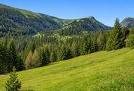 9 baugenehmigte Chalets mit Freizeitwohnsitzwidmung