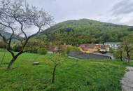 AUF DER SUCHE NACH EINEM NEUEN BUNGALOW IM ERSTBEZUG IN AUSSICHTSLAGE