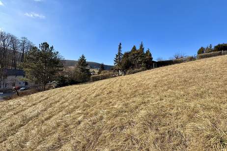 BAUBEWILLIGT! I 2 Wohneinheiten möglich I Terrassen, Gärten, Stellplätze.. I ca. 15 Autominuten von Wien I grüne Umgebung I, Grund und Boden-kauf, 329.000,€, 3400 Tulln