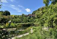 Landsitz in Einzellage - 6 Hektar - Der Garten Eden könnte nicht schöner sein !