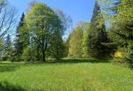 Traumhaftes, sonniges Grundstück(e) mit altem Baumbestand mitten im Almtal, in erhöhter, idyllischer Natur-Ruhelage!