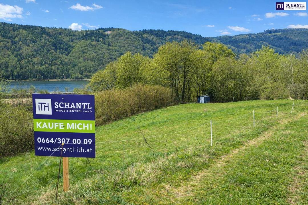 Katzensprung von Ybbs/D. – Mehr Grundstück für wenig Geld! Seltenes Baugrundstück mit genialem Donau-Blick in ruhiger Lage: 2.168 m² für großzügiges Eigenheim, Mehrgenerationenwohnen oder Wohnen &amp; Arbeiten auf einem Grundstück!