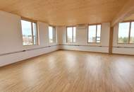 MODERN NACHHALTIG HOLZQUADRAT