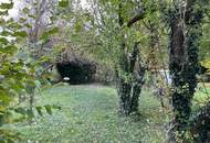 "Lage, Potenzial, neues Familienglück!" Eigengrund mit Altbestand!"