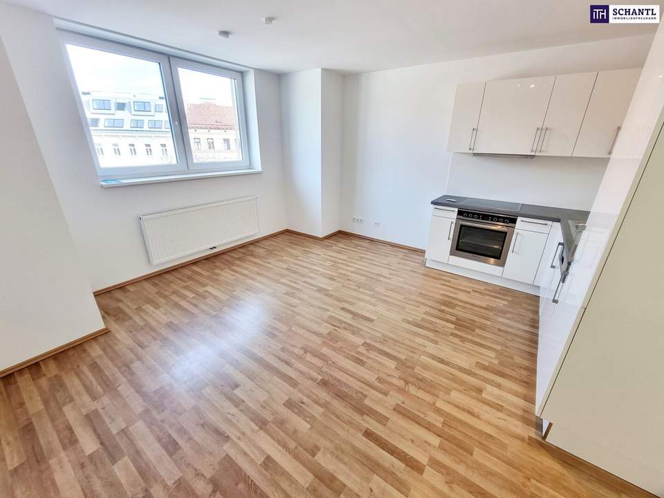 Reduzierter Preis! Charmante DG-Maisonettewohnung mit 2,5 Zimmer und Terrasse + Ideale Infrastruktur + Wunderschön saniertes Altbauhaus! Jetzt zugreifen!