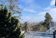 PENTHOUSE LIVING - FIXPREIS - ATEMBERAUBENDER WIENBLICK - 3 RIESEN TERRASSEN - ERSTBEZUG!
