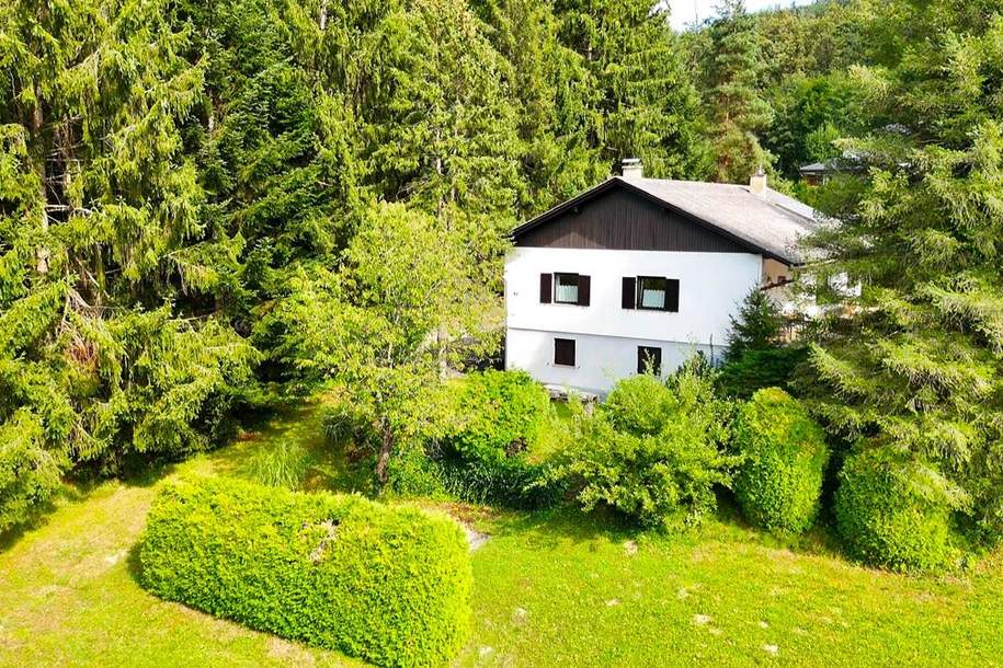 Einfamilienhaus mit Charme &amp; ca. 3.133 m² großem Grundstück am Ortsrand von Hausmannstätten!, Haus-kauf, 488.000,€, 8071 Graz-Umgebung