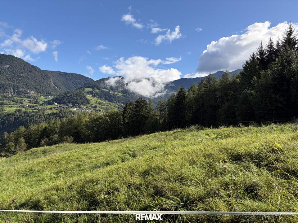 Zwei Freilandflächen mit vielseitiger landwirtschaftlicher Nutzung in Sautens!