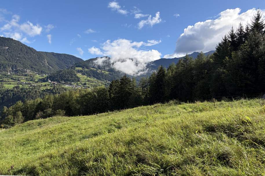 Zwei Freilandflächen mit vielseitiger landwirtschaftlicher Nutzung in Sautens!, Grund und Boden-kauf, 89.000,€, 6432 Imst