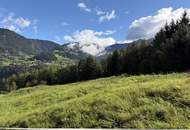 Zwei Freilandflächen mit vielseitiger landwirtschaftlicher Nutzung in Sautens!