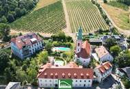 Entspannen und Geniessen – sanierte Wohnung in Traumlage zwischen Donau und Weinbergen! - JETZT ZUSCHLAGEN