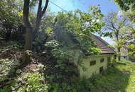 Weinkeller mit Freifläche und Weingarten – Ihr Projekt für nur 19.990 €!