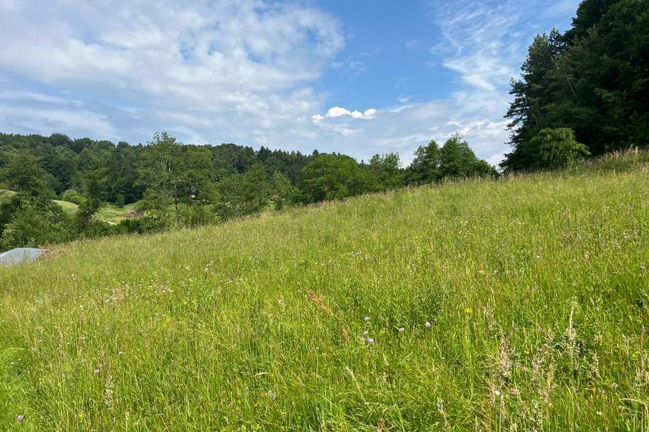 Gewerbegrund in Ortsrandlage, Grund und Boden-kauf, 69.000,€, 8076 Graz-Umgebung