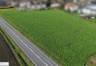 INVESTMENT-CHANCE in TOPLAGE Schönering