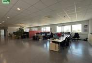 Hochwertige Gewerbefläche mit 15 Parkplätzen in 2326 Maria Lanzendorf – Industriestraße: ab sofort verfügbar. - WOHNTRAUM