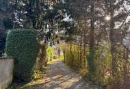 Sanierungsbedürftiges Mehrfamilienhaus mit großem Grundstück und hoher Bebauungsdichte