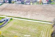 Traumhafter Baugrund im wunderschönen Ehrenhausen an der Weinstrasse
