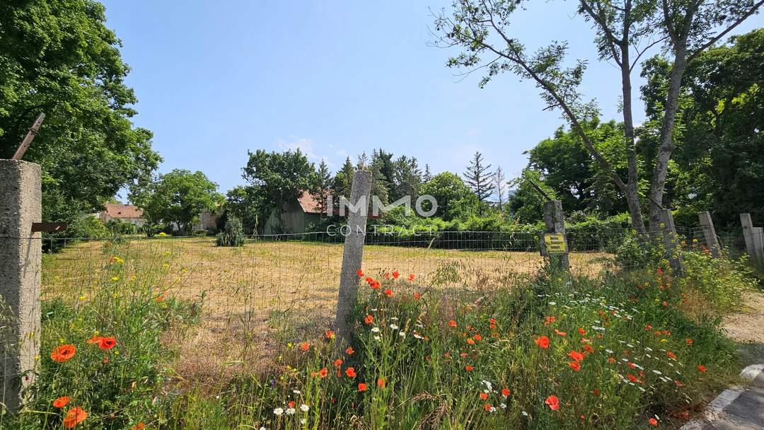 Grüne Ruhelage und doch zentral - Grundstück in bester Lage zu kaufen