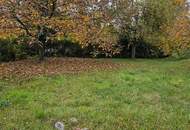 Baugrund als Anlage OHNE Bauzwang